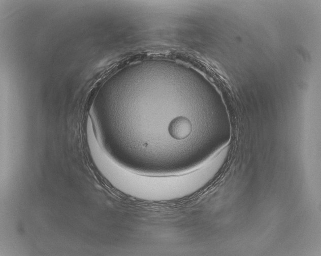 X0000115171445200911181356