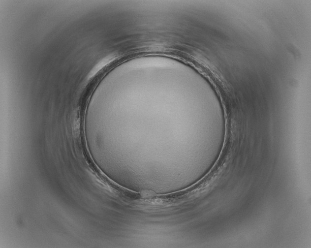 X0000115171450200911181355