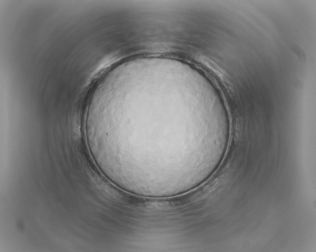 X0000115171451200911181355