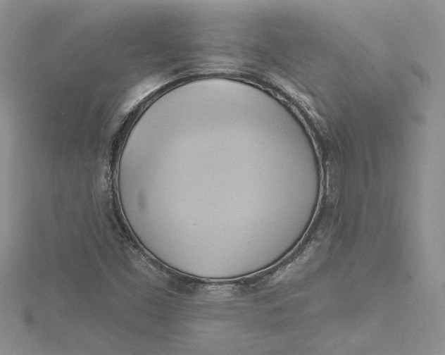 X0000115171453200911181355