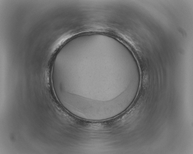X0000115171455200911181355
