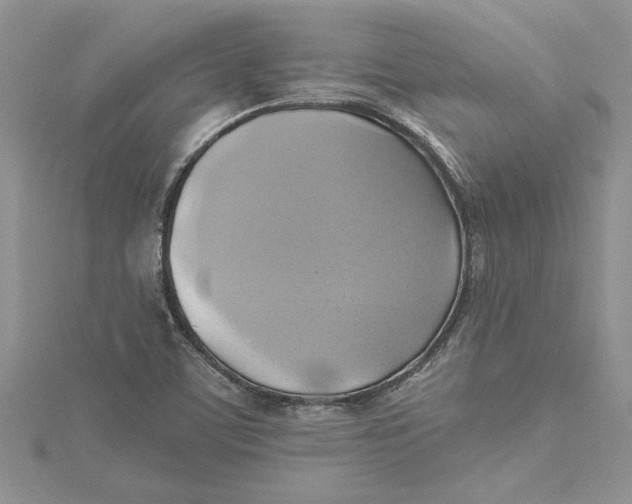 X0000115171459200911181355
