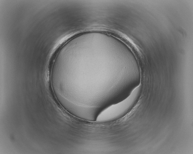 X0000115171461200911181355