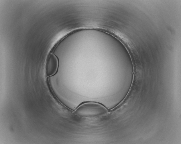X0000115171469200911181355