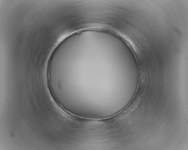X0000115171475200911181355