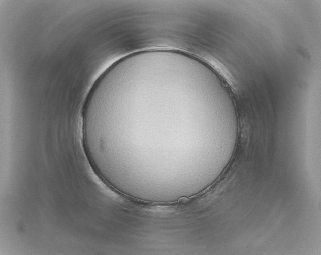 X0000115171476200911181355