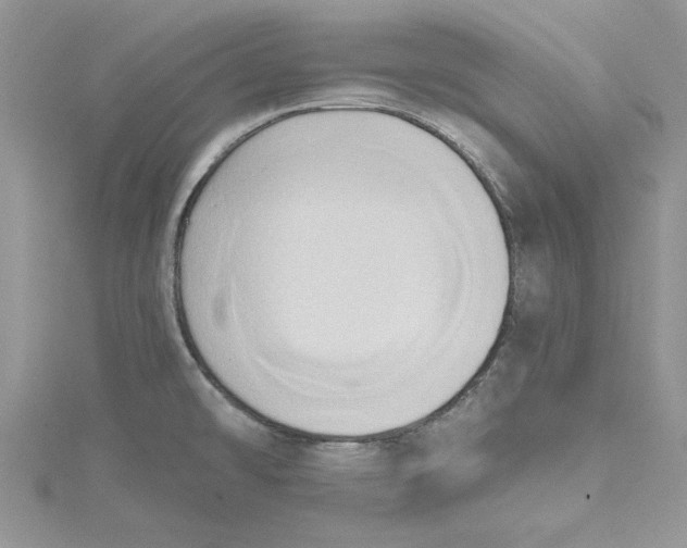 X0000115171478200911181355