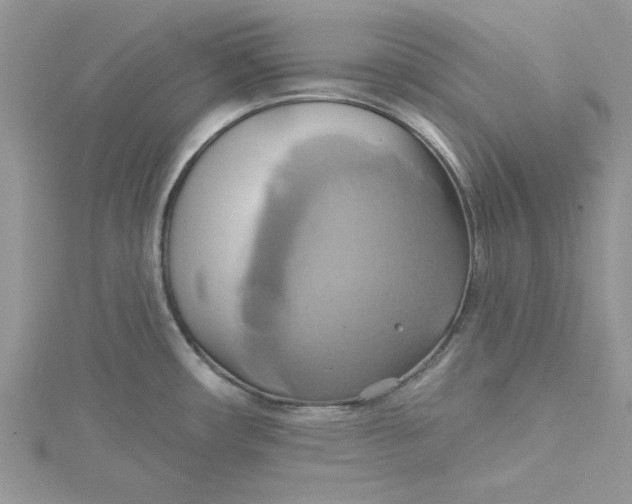 X0000115171482200911181355
