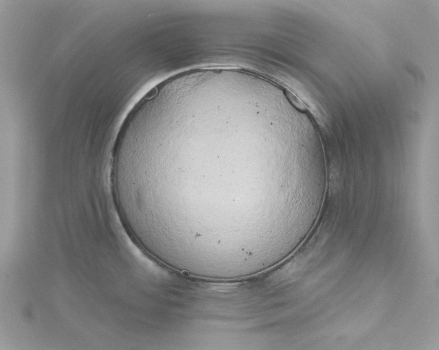 X0000115171484200911181355