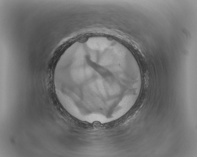 X0000115171494200911181354