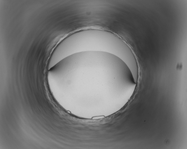 X0000115170001200911251344