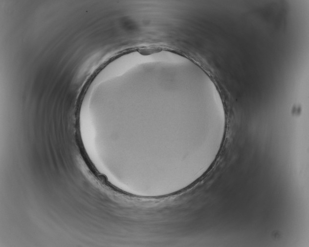 X0000115170002200911251344