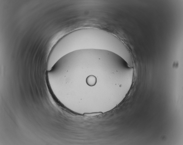 X0000115170003200911251344