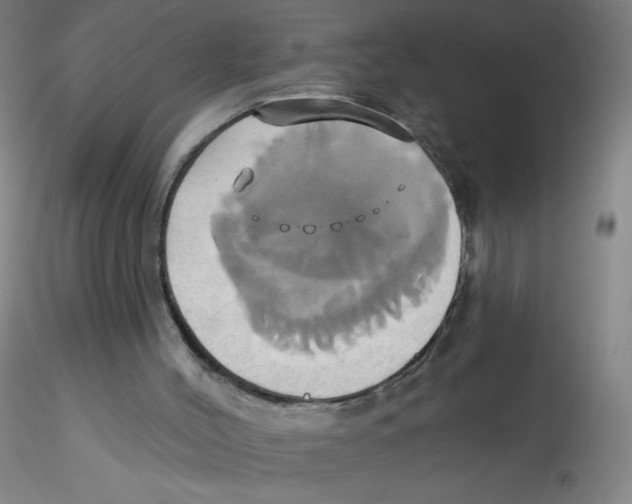 X0000115170004200911251344