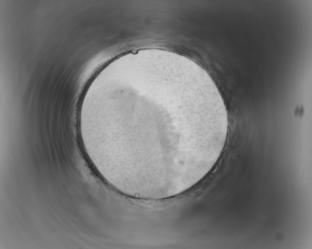 X0000115170006200911251344