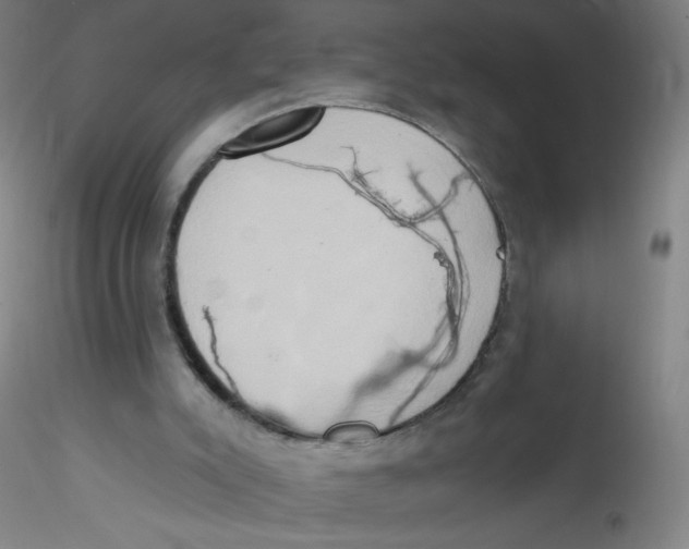 X0000115170007200911251344