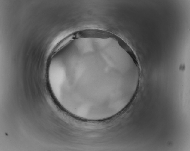 X0000115170008200911251344