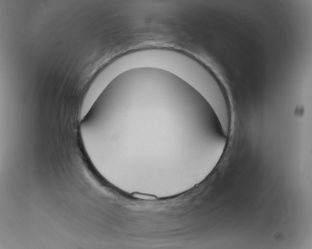 X0000115170009200911251344