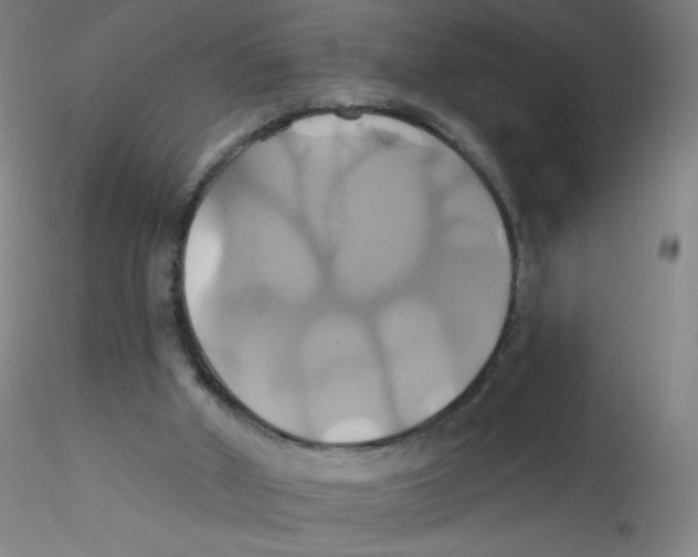 X0000115170010200911251344