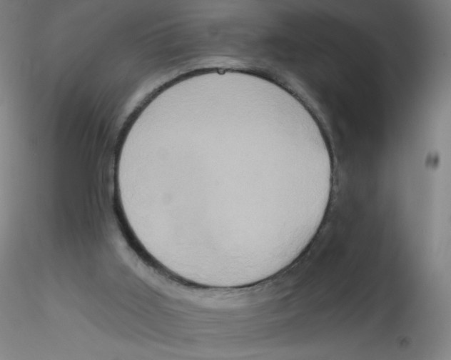 X0000115170011200911251344