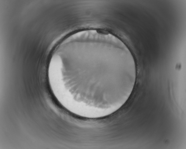 X0000115170012200911251344