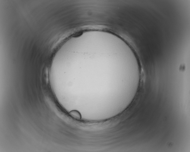 X0000115170013200911251344