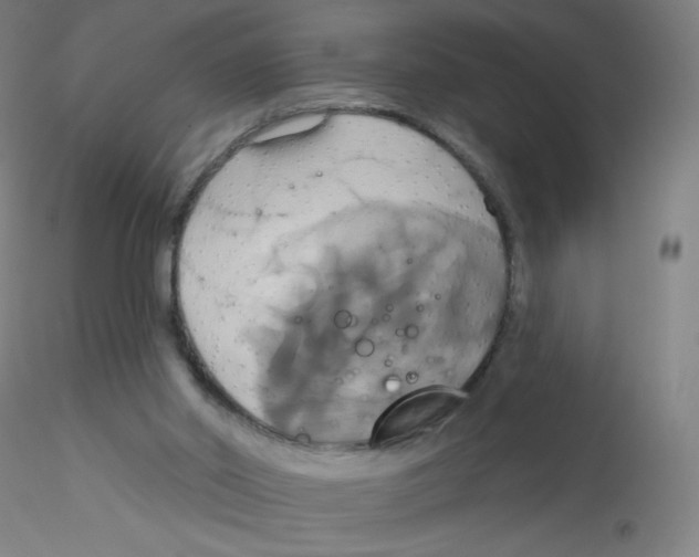 X0000115170014200911251344