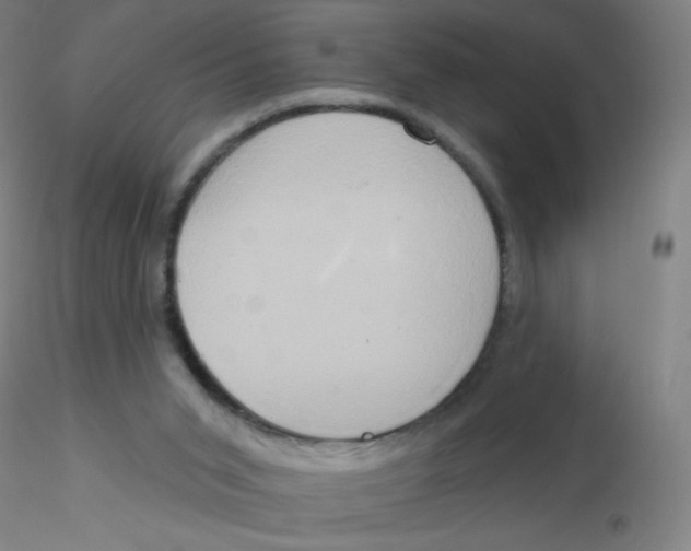 X0000115170015200911251344