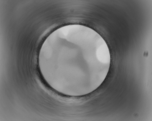 X0000115170016200911251344