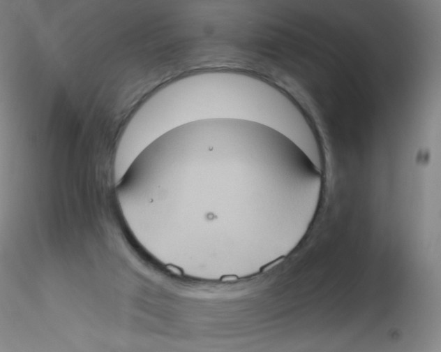 X0000115170017200911251344