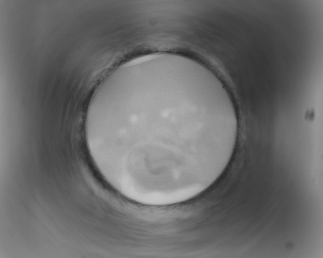 X0000115170018200911251344