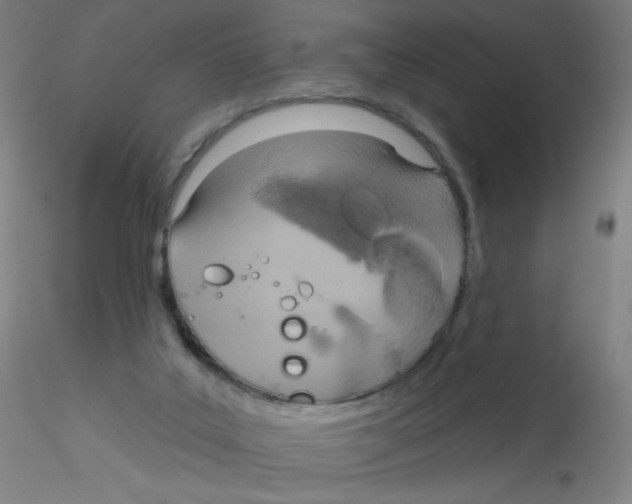 X0000115170019200911251344