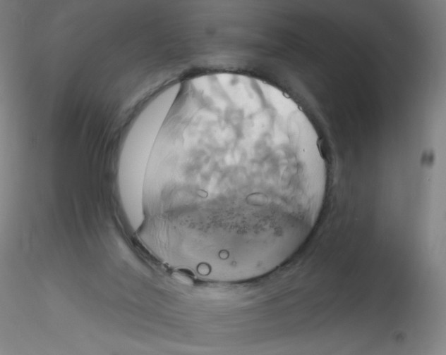 X0000115170020200911251344