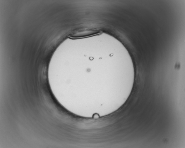 X0000115170021200911251344