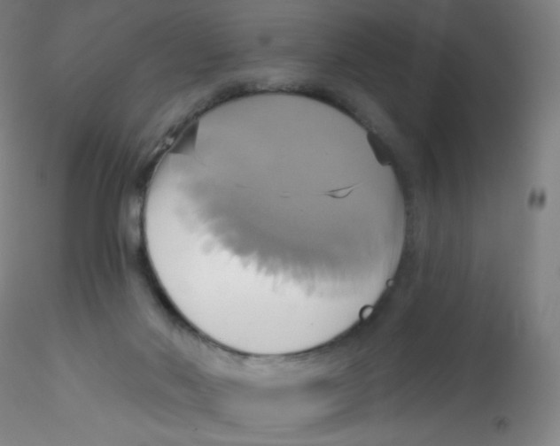 X0000115170022200911251344