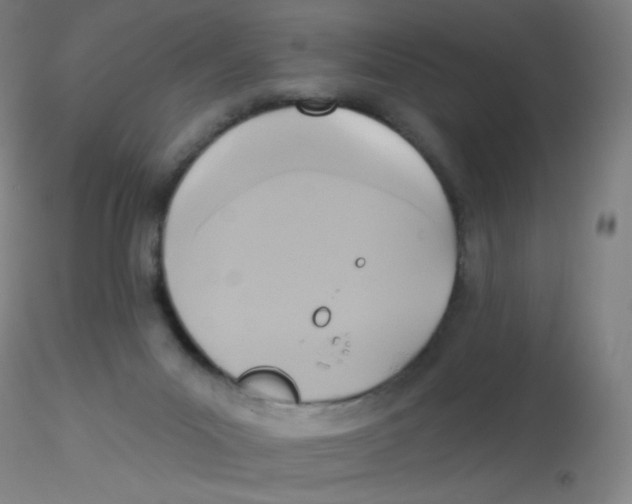 X0000115170023200911251344