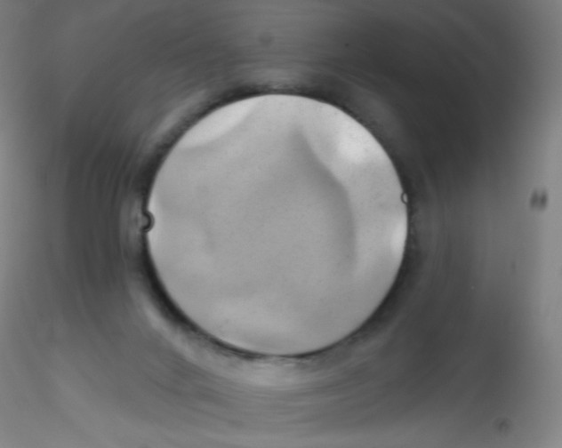 X0000115170024200911251344