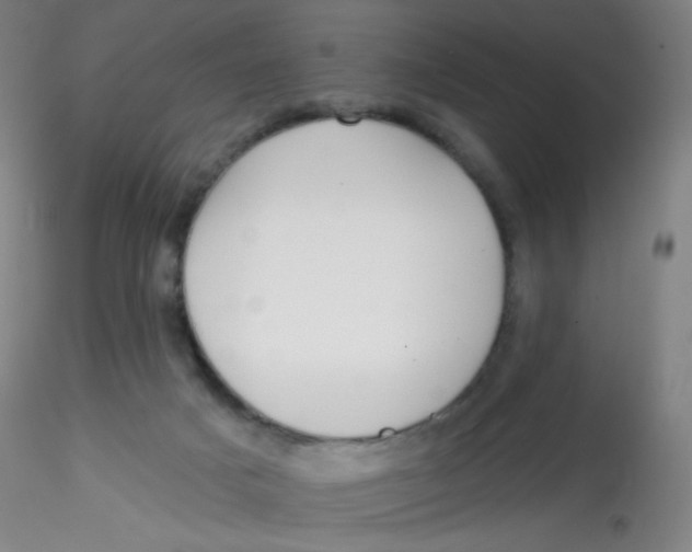 X0000115170025200911251344