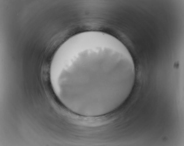 X0000115170026200911251344