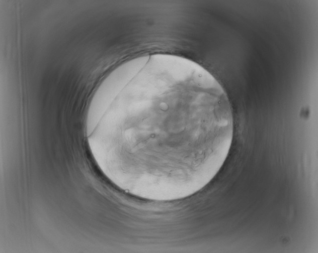 X0000115170028200911251344