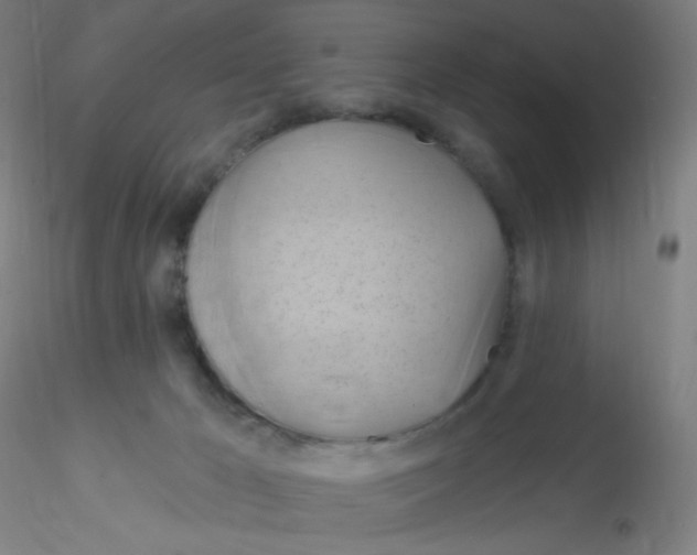 X0000115170029200911251344