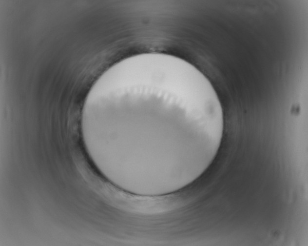 X0000115170030200911251344