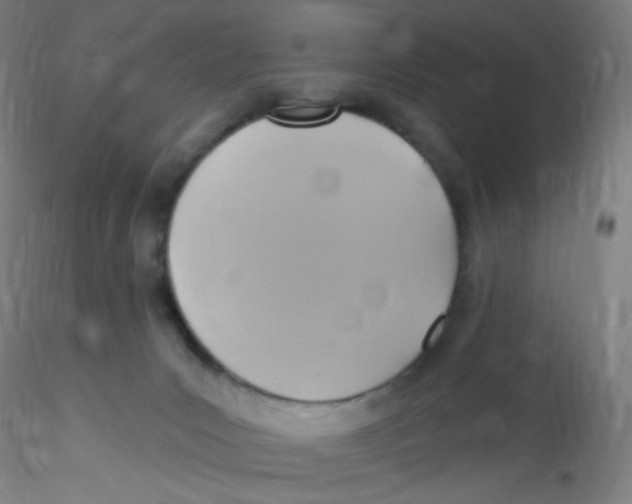 X0000115170031200911251344