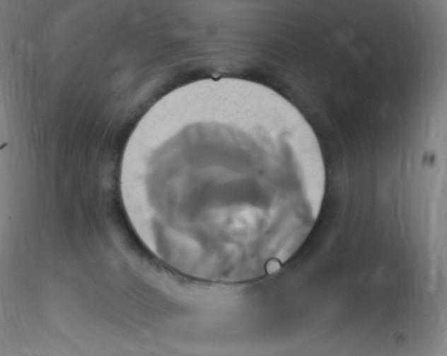 X0000115170032200911251344