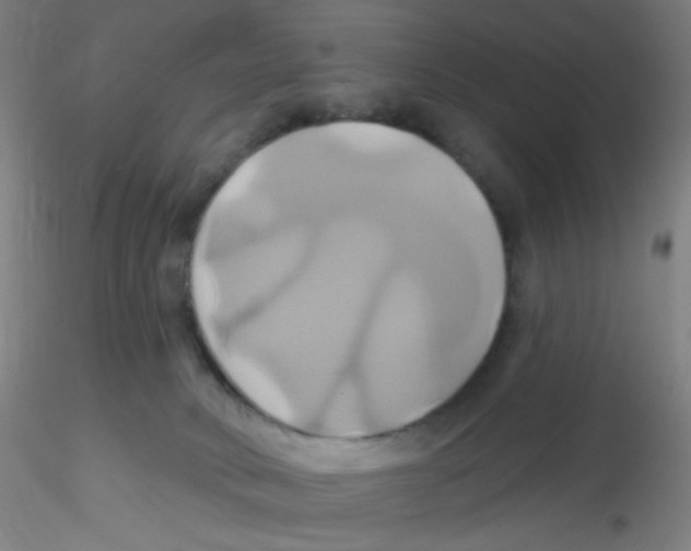 X0000115170034200911251344