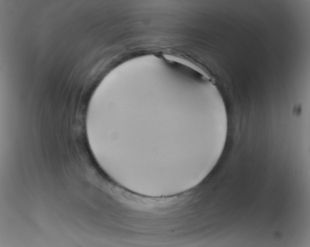 X0000115170035200911251344