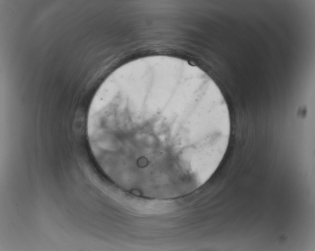 X0000115170036200911251344