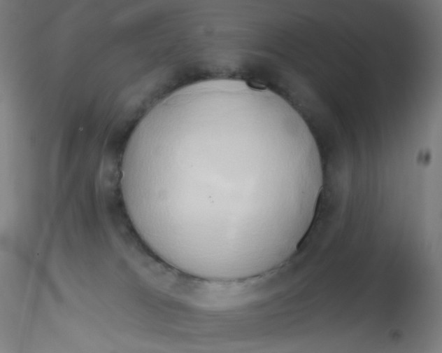 X0000115170037200911251344