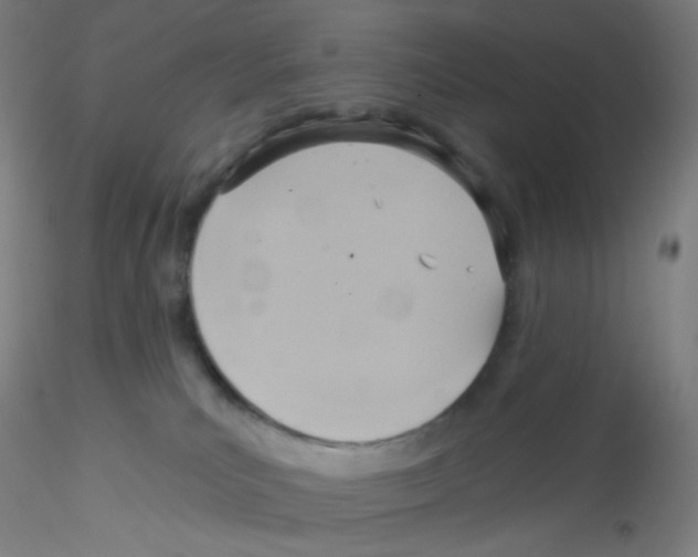 X0000115170039200911251344