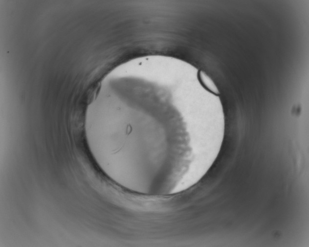 X0000115170040200911251344